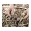 mugwort patches (2) Mugwort Foot Patches: Designed for wellness, relaxation, and self-care product lines.