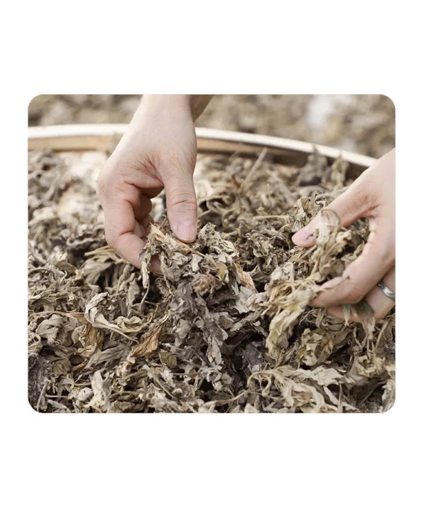 mugwort patches (2) Mugwort Foot Patches: Designed for wellness, relaxation, and self-care product lines.