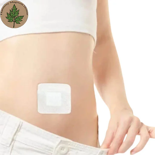 Aged Qichun Mugwort Navel Patch
