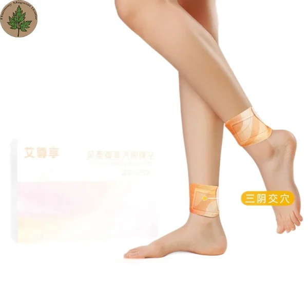 Qichun Mugwort Joint Warming Patch (5) Qichun Mugwort Joint Warming Patch
