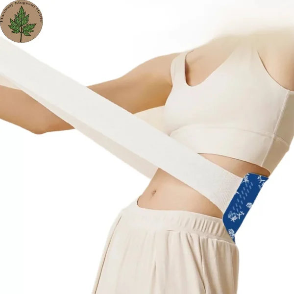 Qichun Mugwort Therapeutic Waist Warmer Patch (5) Mugwort Lower Back Care Patch