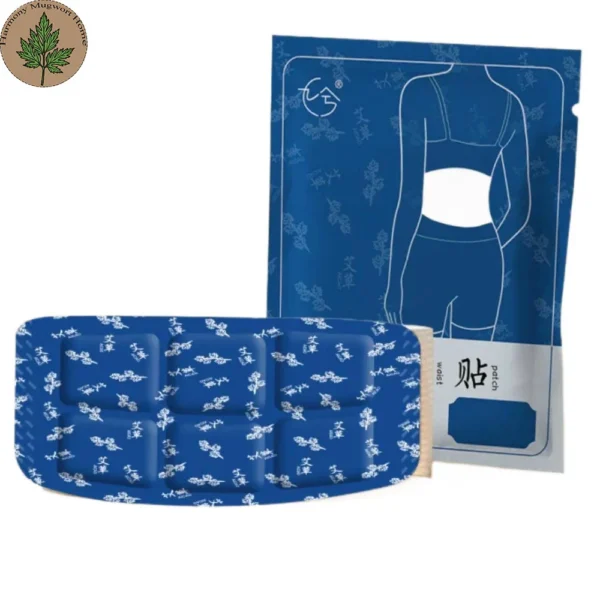 Qichun Mugwort Therapeutic Waist Warmer Patch (6) Mugwort Lower Back Care Patch