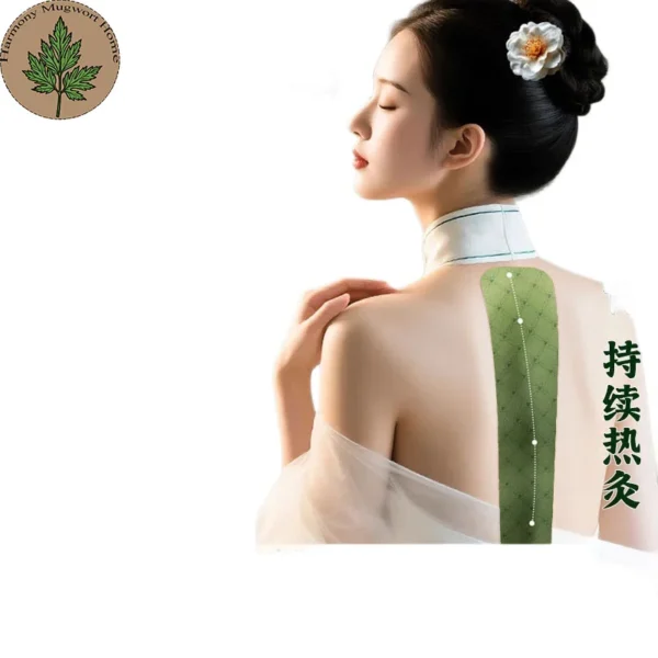 Qichun Mugwort Therapeutic Waist Warmer Patch (9) Mugwort Lower Back Care Patch
