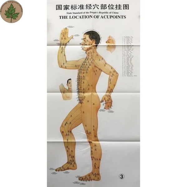 Moxibustion Acupoint Chart
