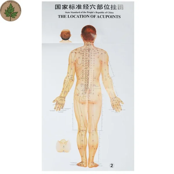 Moxibustion Acupoint Chart