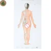 Moxibustion Acupoint Chart
