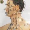 Moxibustion Acupoint Chart