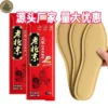 Mugwort Disposable Self-Heating Insole