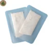 Mugwort Freeze-Dried Facial Mask
