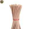 Outdoor Mugwort Mosquito Repellent Stick